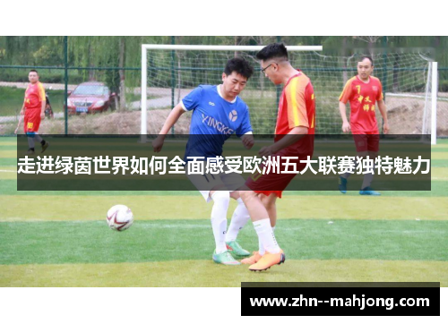 走进绿茵世界如何全面感受欧洲五大联赛独特魅力